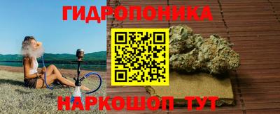 скорость Кинель