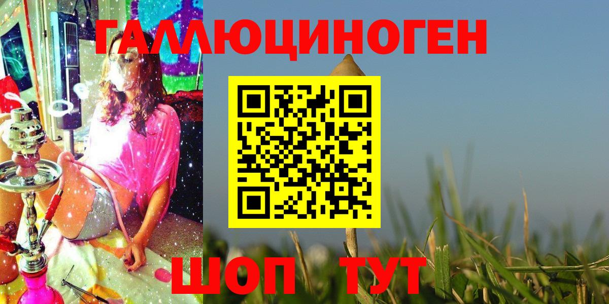 Псилоцибиновые грибы мицелий Кисловодск