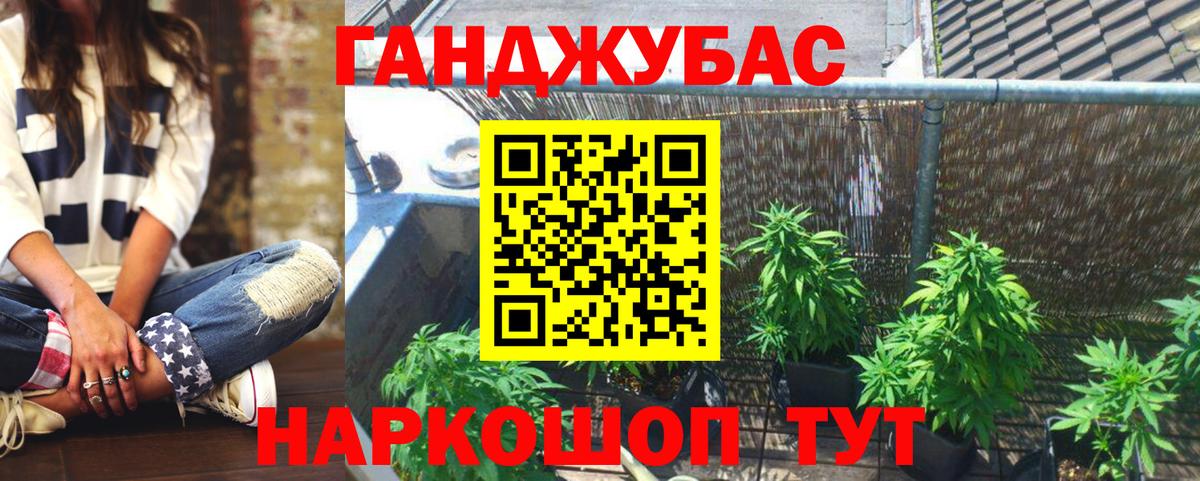 Шишки марихуана OG Kush Кисловодск